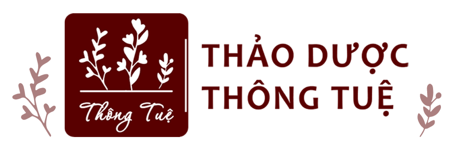 Gối chườm nóng thảo dược Thông Tuệ | Túi chườm nóng thảo dược